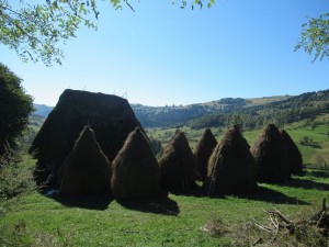 374180111 862175565505817 8041483171739305628 n