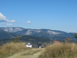 374206501 862175475505826 7322025041131878527 n