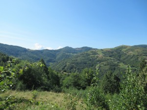 374685843 860088199047887 8743640989757756427 n