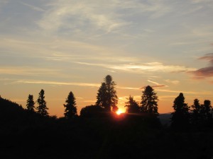 374697592 860086235714750 1443021714750087098 n