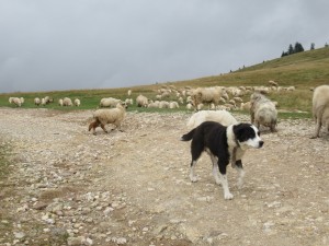 375854857 858791585844215 422081392650053108 n