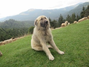 375949602 858791849177522 3458422562409425588 n