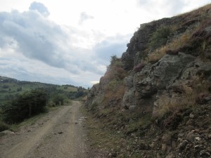 375952342 858791222510918 7726206462477922518 n