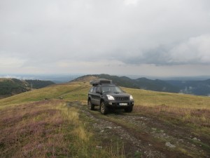 375969197 858790322511008 7509802395621160527 n