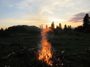 376236244 860086662381374 631203019226373978 n