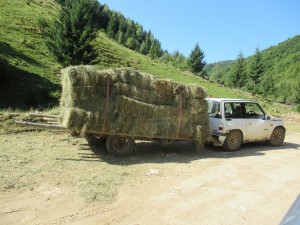 376247241 860088629047844 5945911199489888217 n