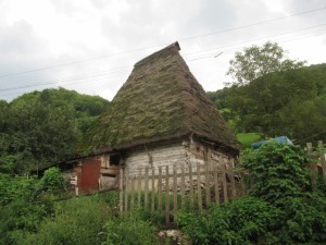 376258610 860087362381304 2771933449345195975 n