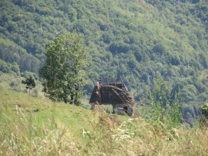 376655417 862177888838918 3204851512846122334 n