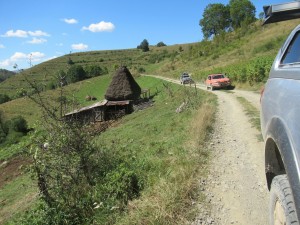 378376999 862178028838904 7363943058295528105 n