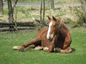 344571260 680334750518157 323399429842998546 n