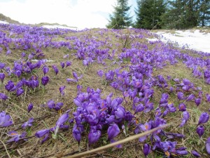 344757172 614110440631093 5490639272114276171 n