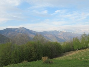 344830742 989066312535665 3810956811180520641 n