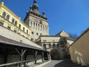 345198124 633519281575894 4634806550524900540 n