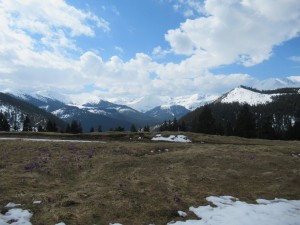 345255307 805397864458655 5943936919872212286 n