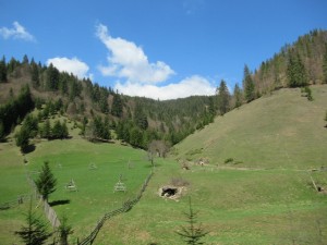 346045597 233117312692444 5752845721161930223 n