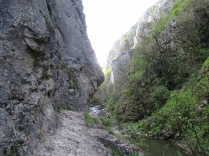 346063047 925387155400011 7993666916332104534 n