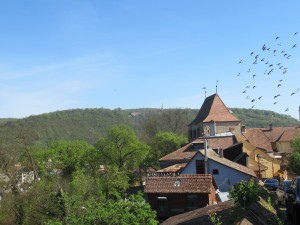 346081866 6354303157946748 7041359010625827515 n