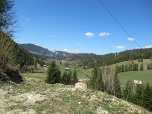 346809233 2562908030530440 336468359707787465 n