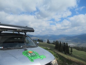 347136041 926863035032724 152091363683574954 n