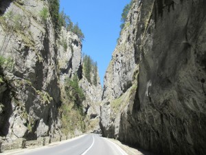 347233601 189643086905958 8525306938760521039 n